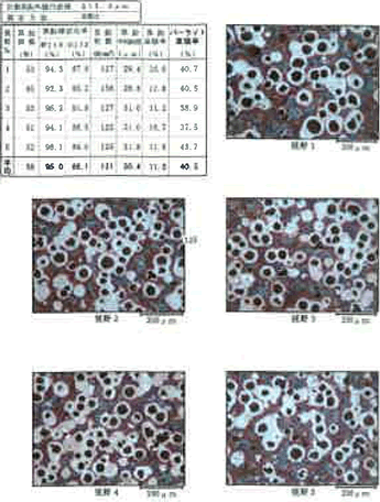 パーライト組織計測結果